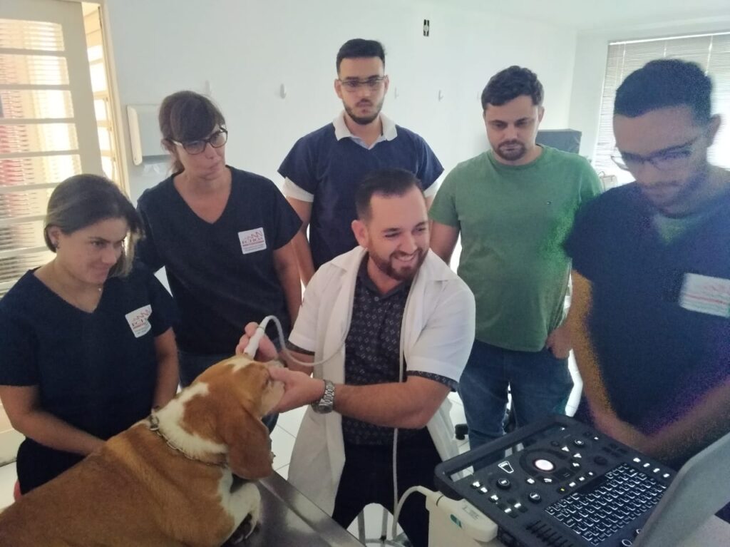 Foto de Bárbara Vaz